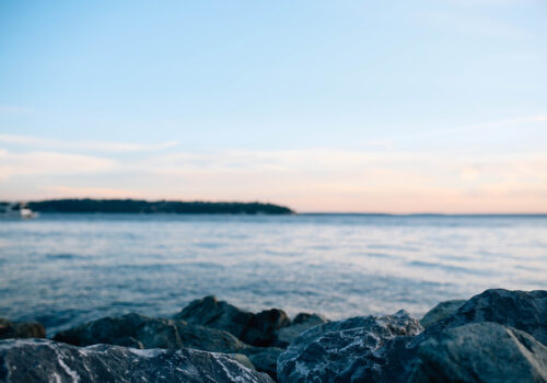 Award Winning Video By One Ocean, One Breath